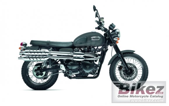 2013 Triumph Scrambler photo